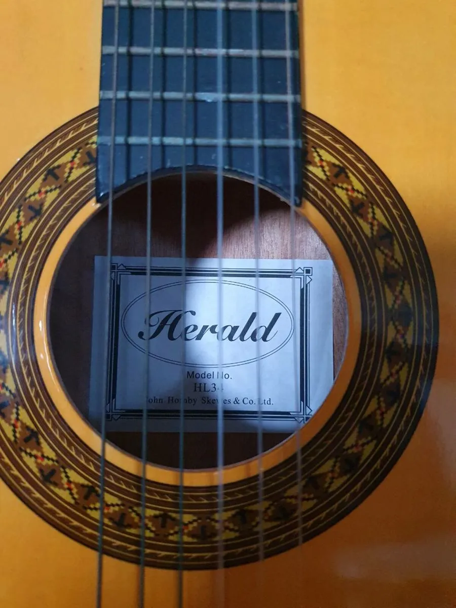 Herald Guitar HL34 + Soft Case - Image 2