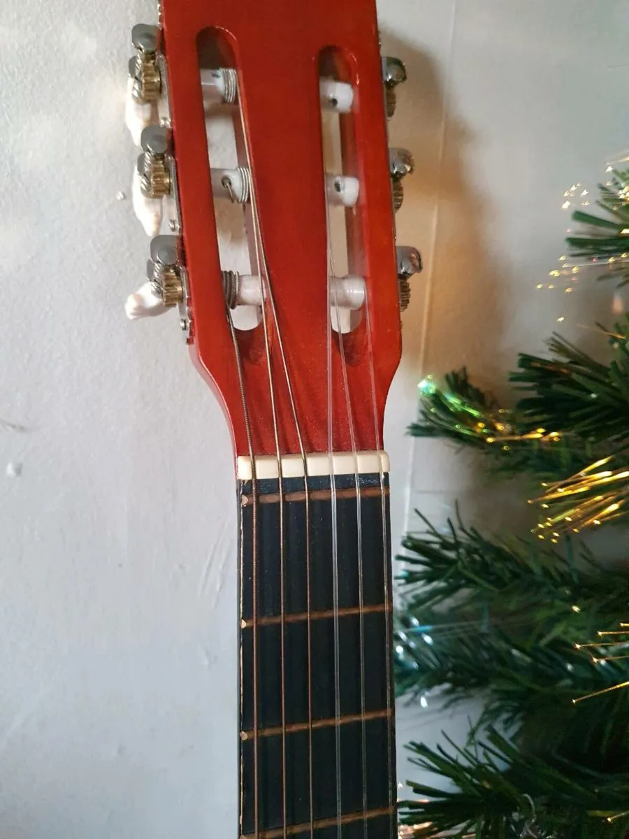 Herald Guitar HL34 + Soft Case - Image 3