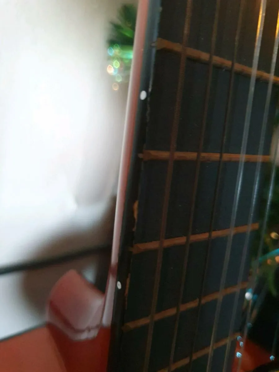 Herald Guitar HL34 + Soft Case - Image 4