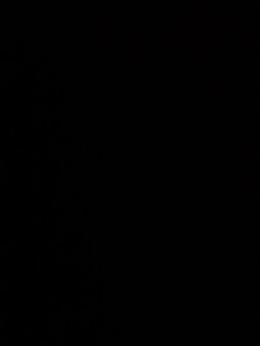 Roller Skates - Image 1