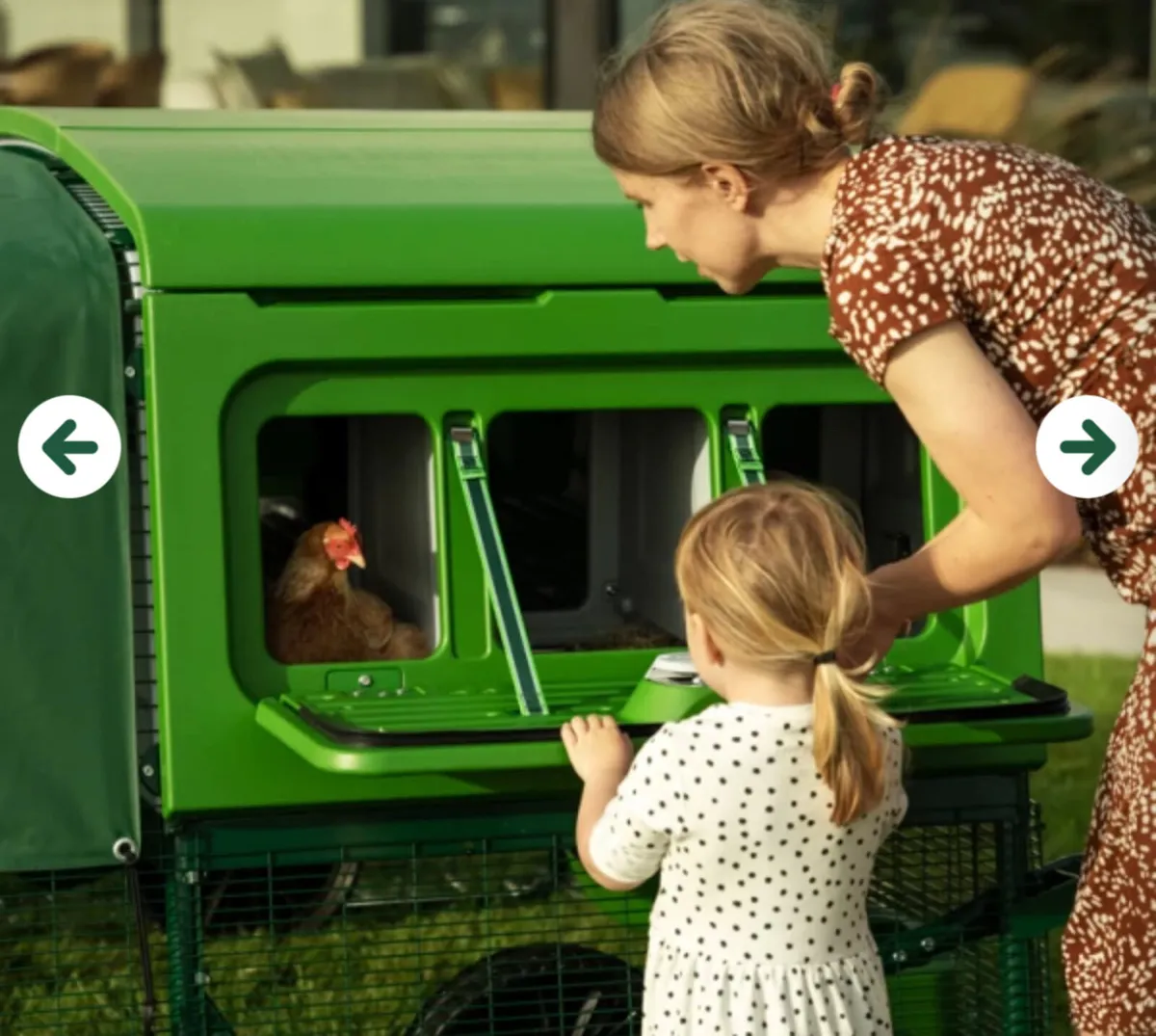 Eglu Pro Chicken Coop - Image 2