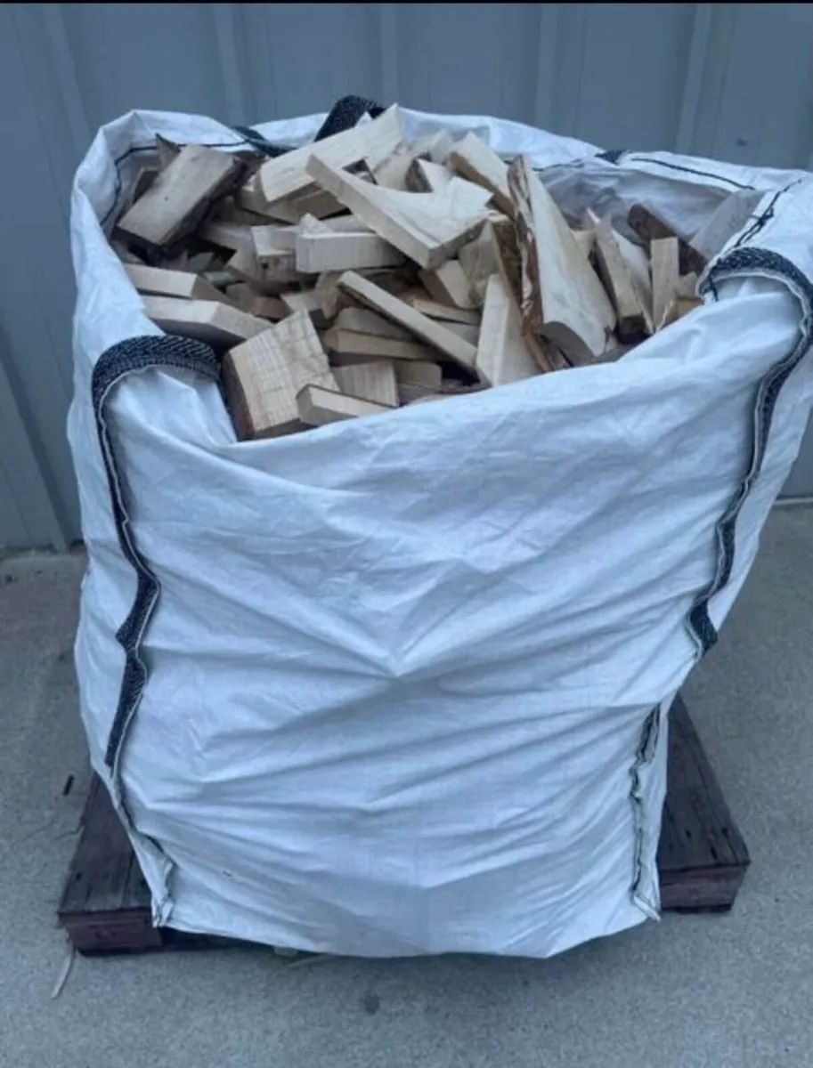 Ash fire wood - Image 2
