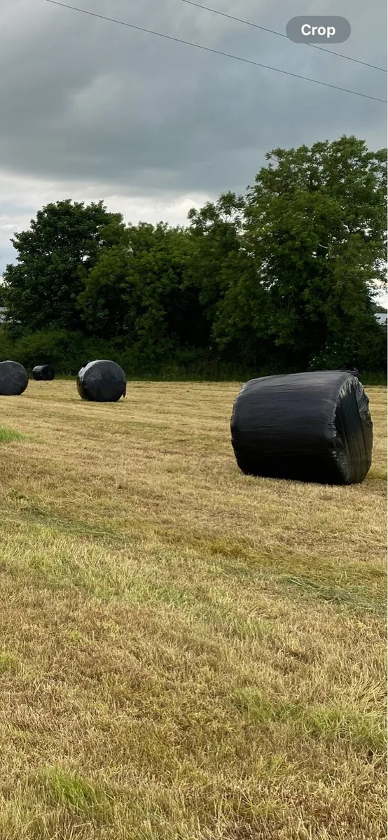 Silage