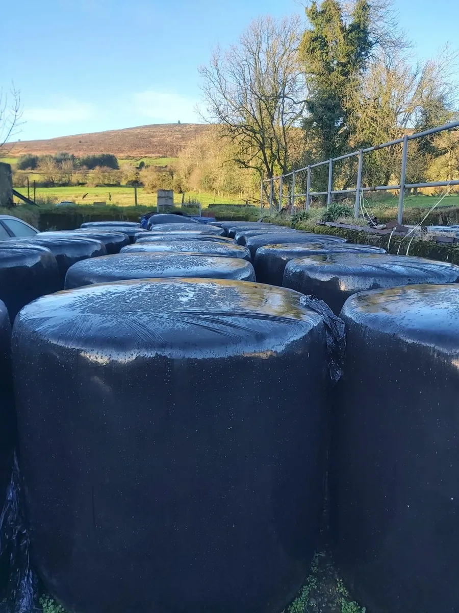 Silage. 58 Bales - Image 3