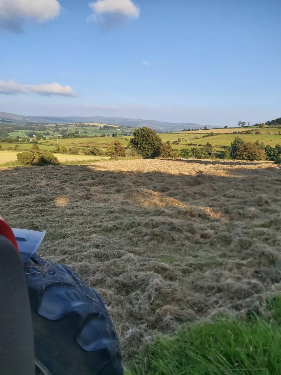 Silage. 58 Bales - Image 4