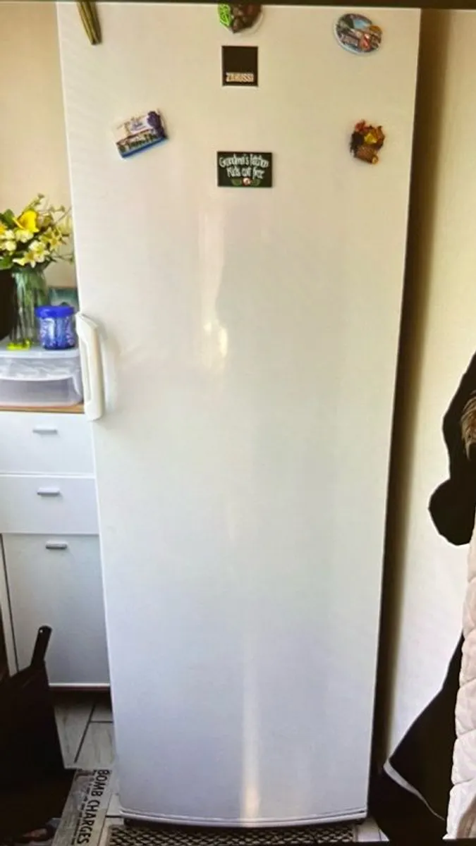 Zanussi Tall Lader Freezer - Image 1