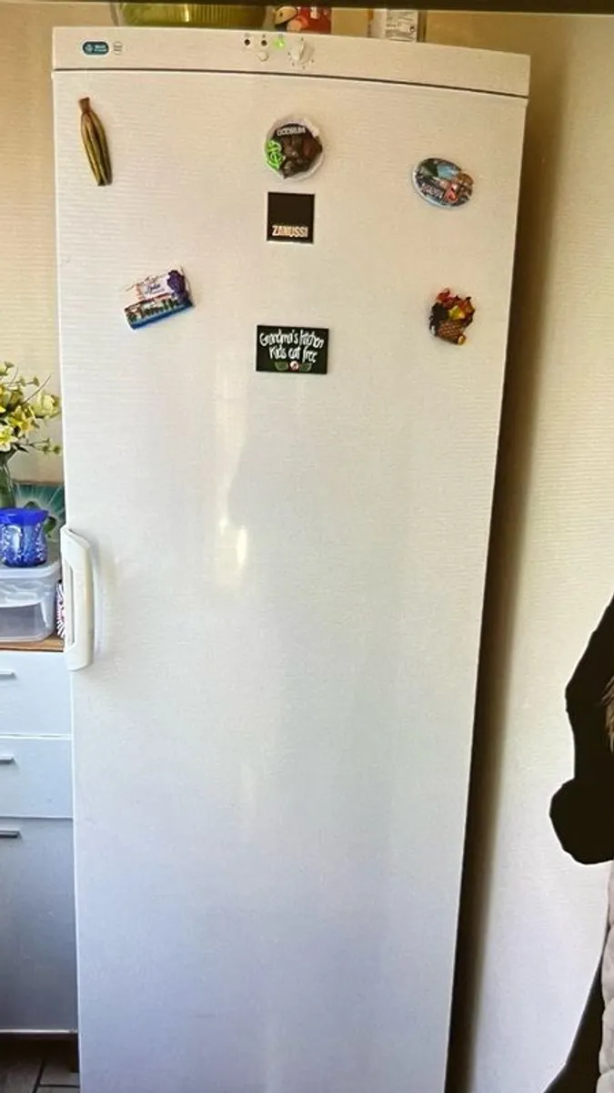 Zanussi Tall Lader Freezer - Image 3