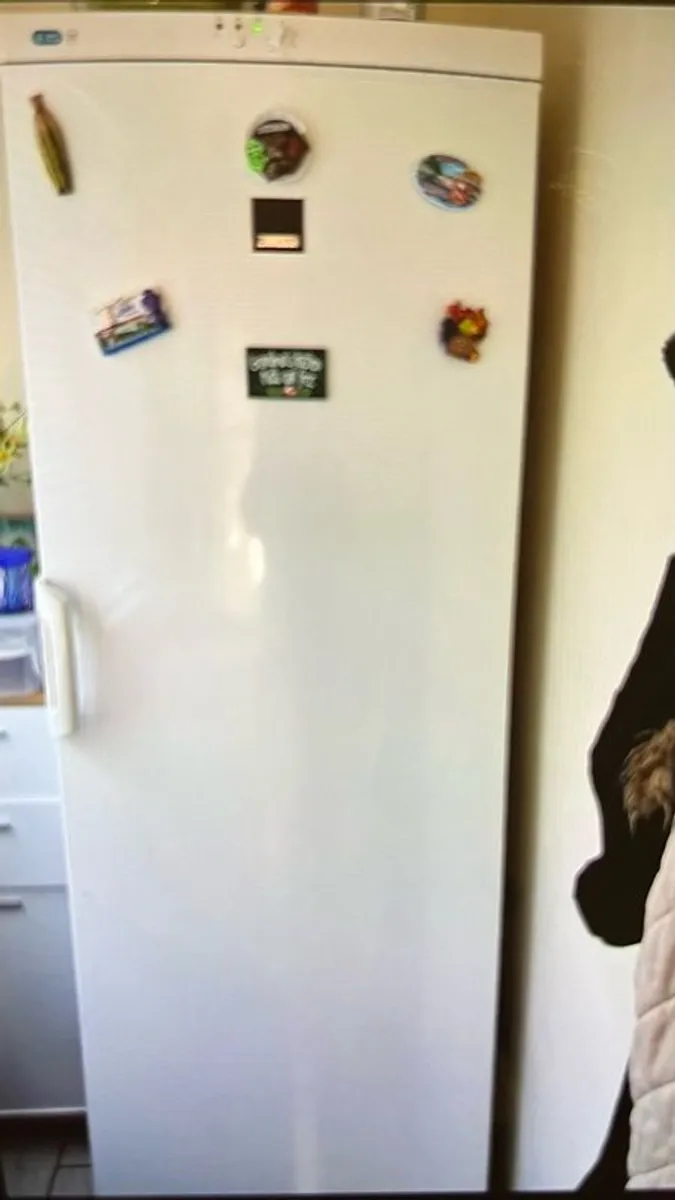 Zanussi Tall Lader Freezer - Image 4