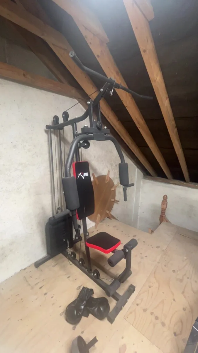 All in one gym station