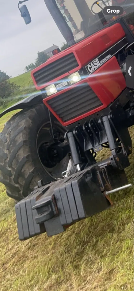 Case weight - Image 2