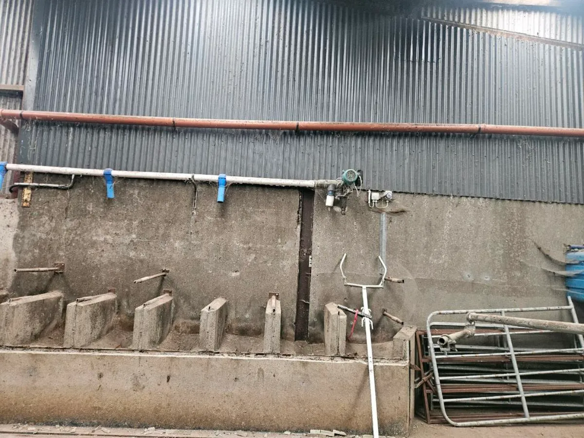 Meal augers - Image 2