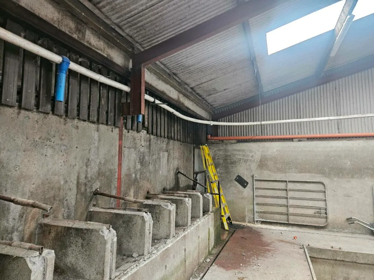 Meal augers - Image 4