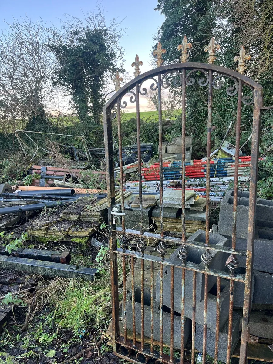 Double entrance Gates - Image 4