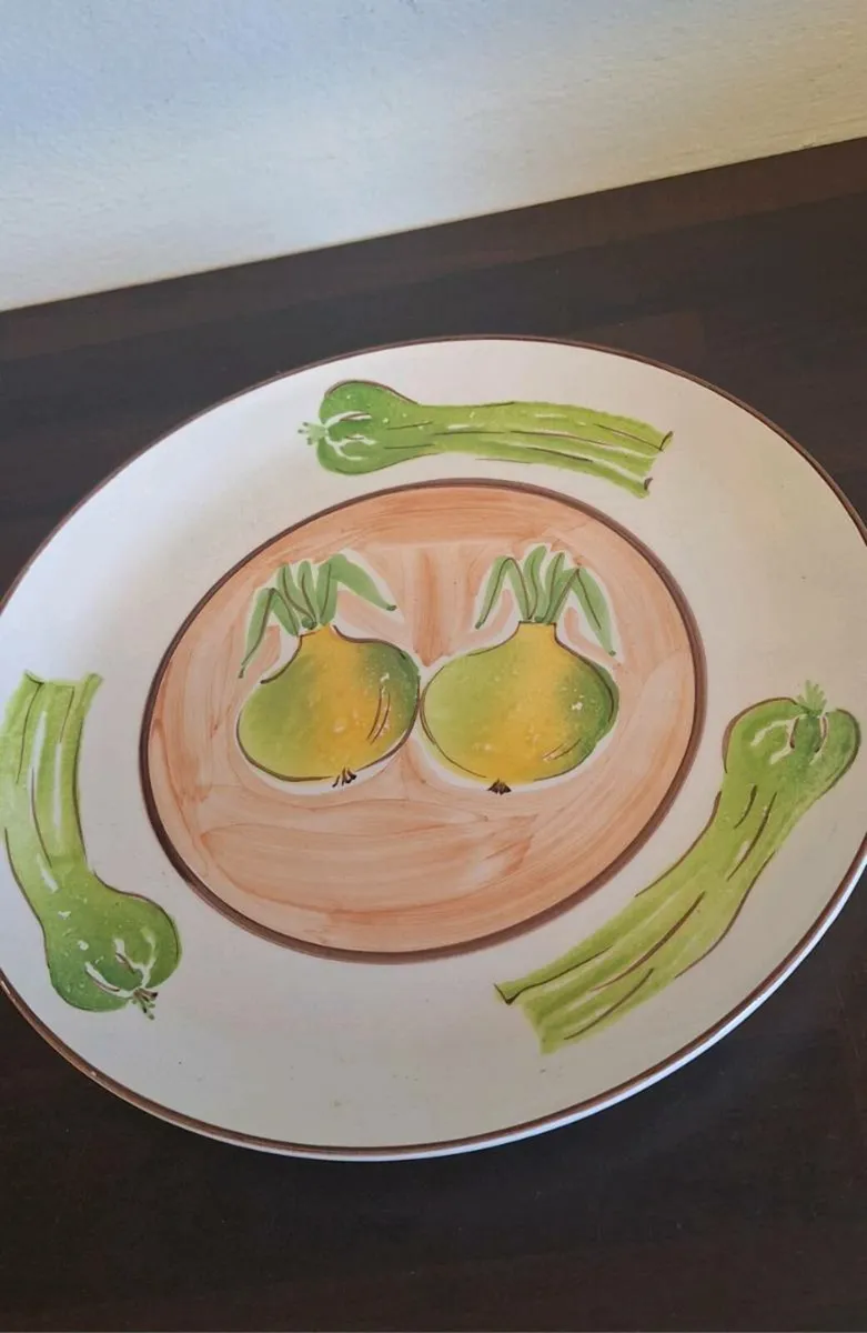 Food Cover and Plate - Image 3