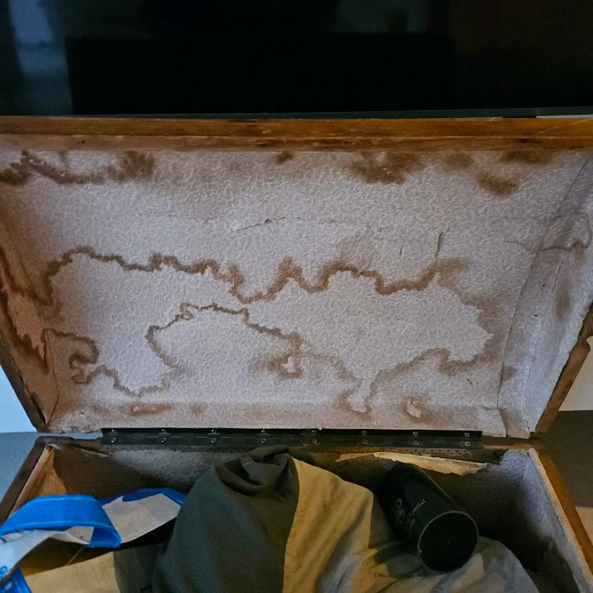 Pine trunk - Image 3