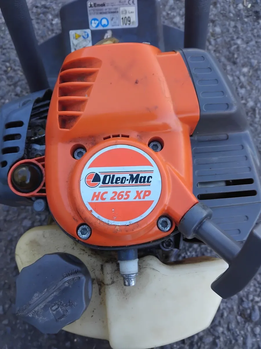 2013 oleo mac hedge strummers read add - Image 2