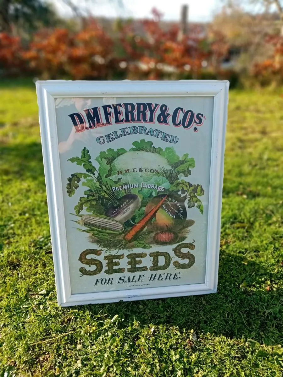 D.M Ferry & Co Vintage Sign - Image 1