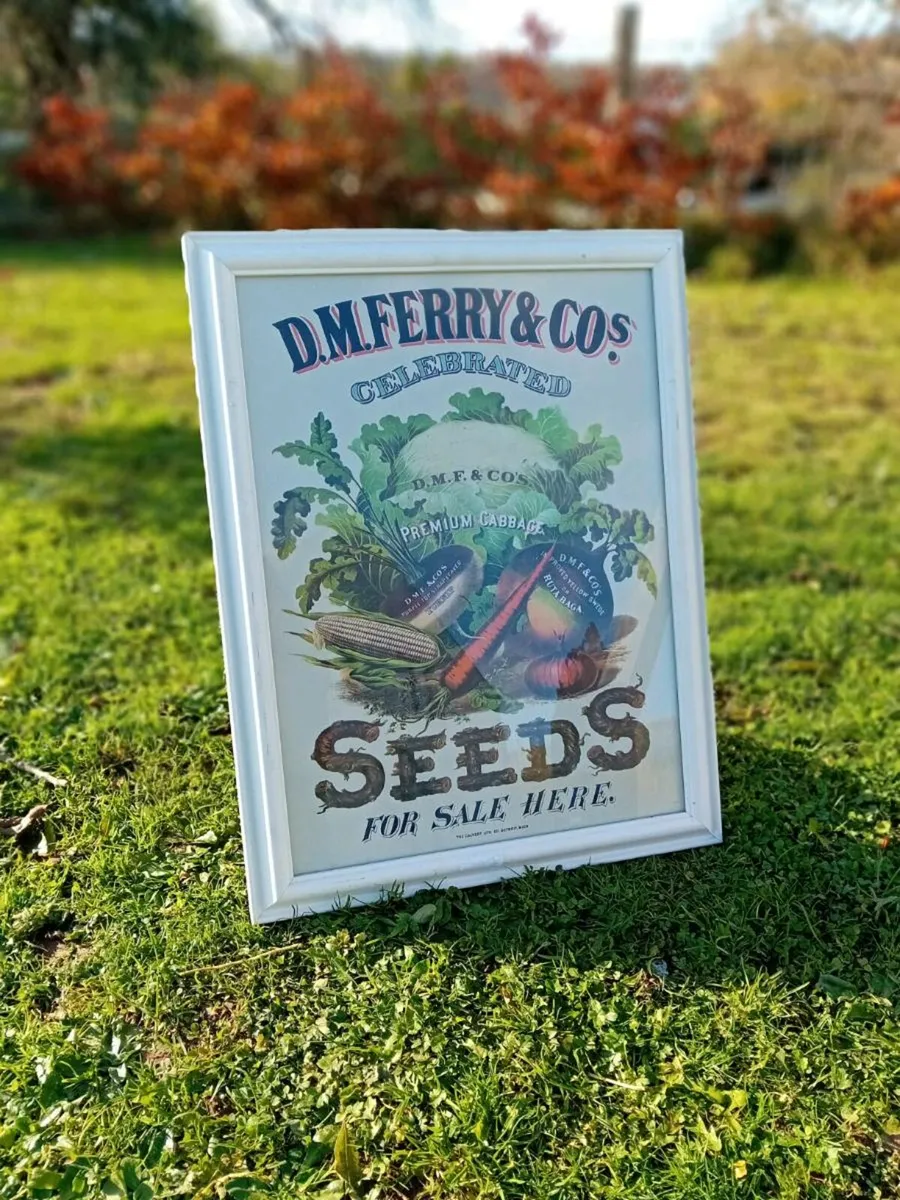 D.M Ferry & Co Vintage Sign - Image 2