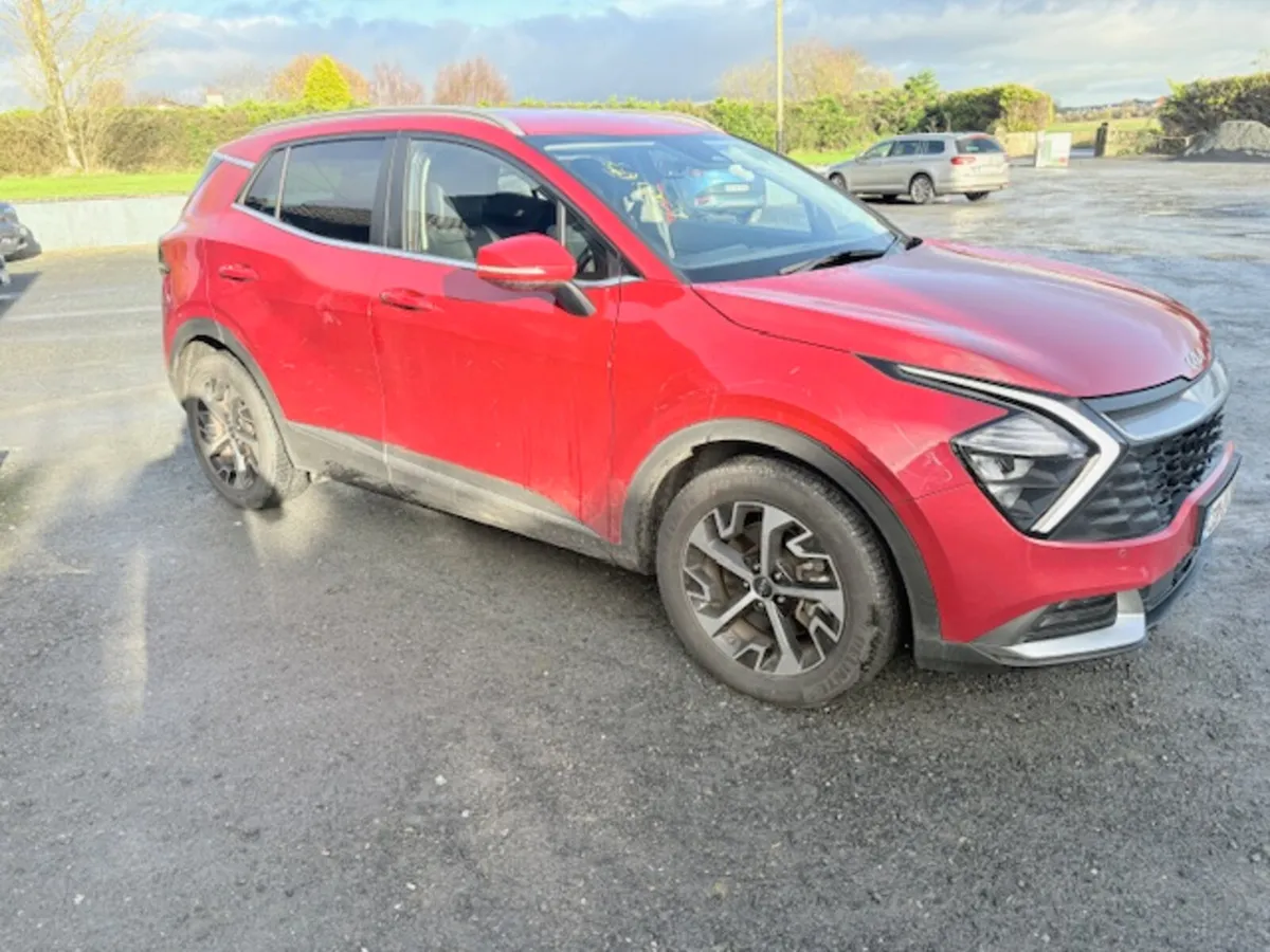 231 SPORTAGE - Image 1