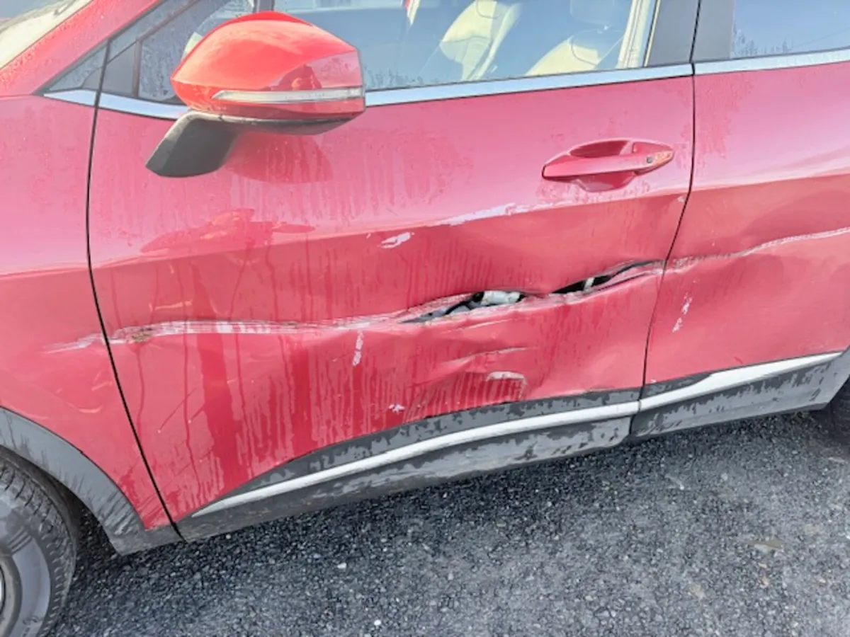 231 SPORTAGE - Image 3