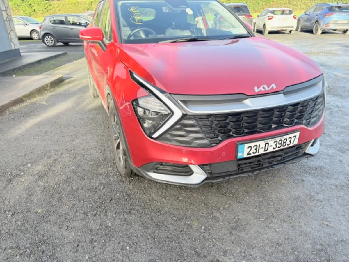 231 SPORTAGE - Image 2
