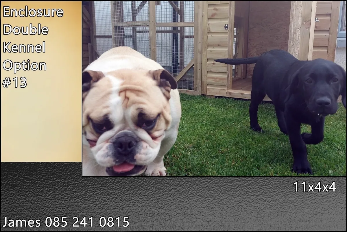 Winter ready Dog Kennel & Enclosure - Image 4