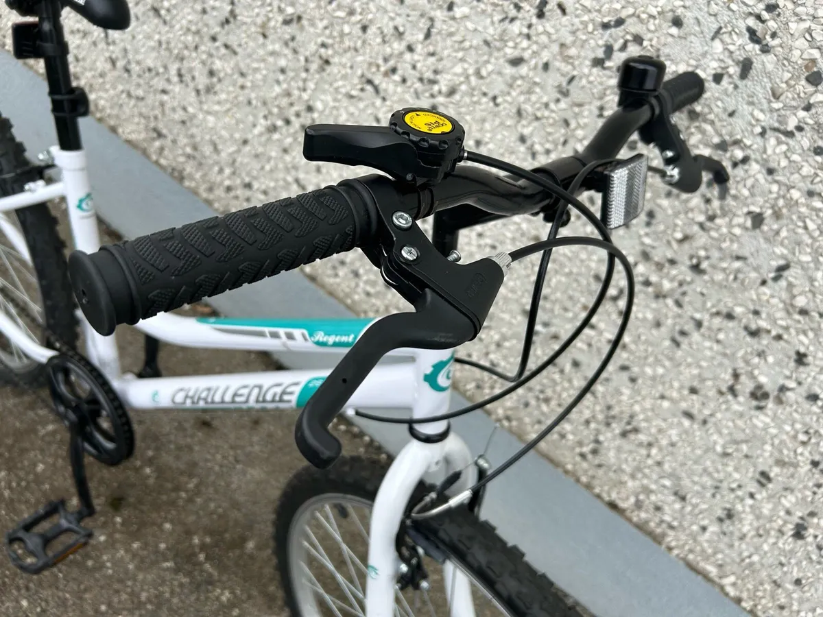 Challenge Regent Mountain Bike - Image 3