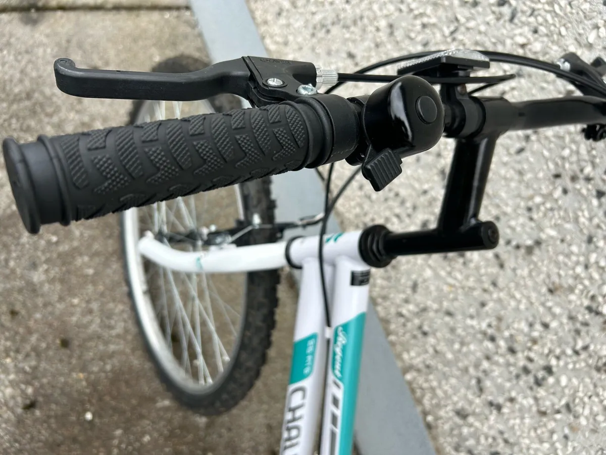 Challenge Regent Mountain Bike - Image 4