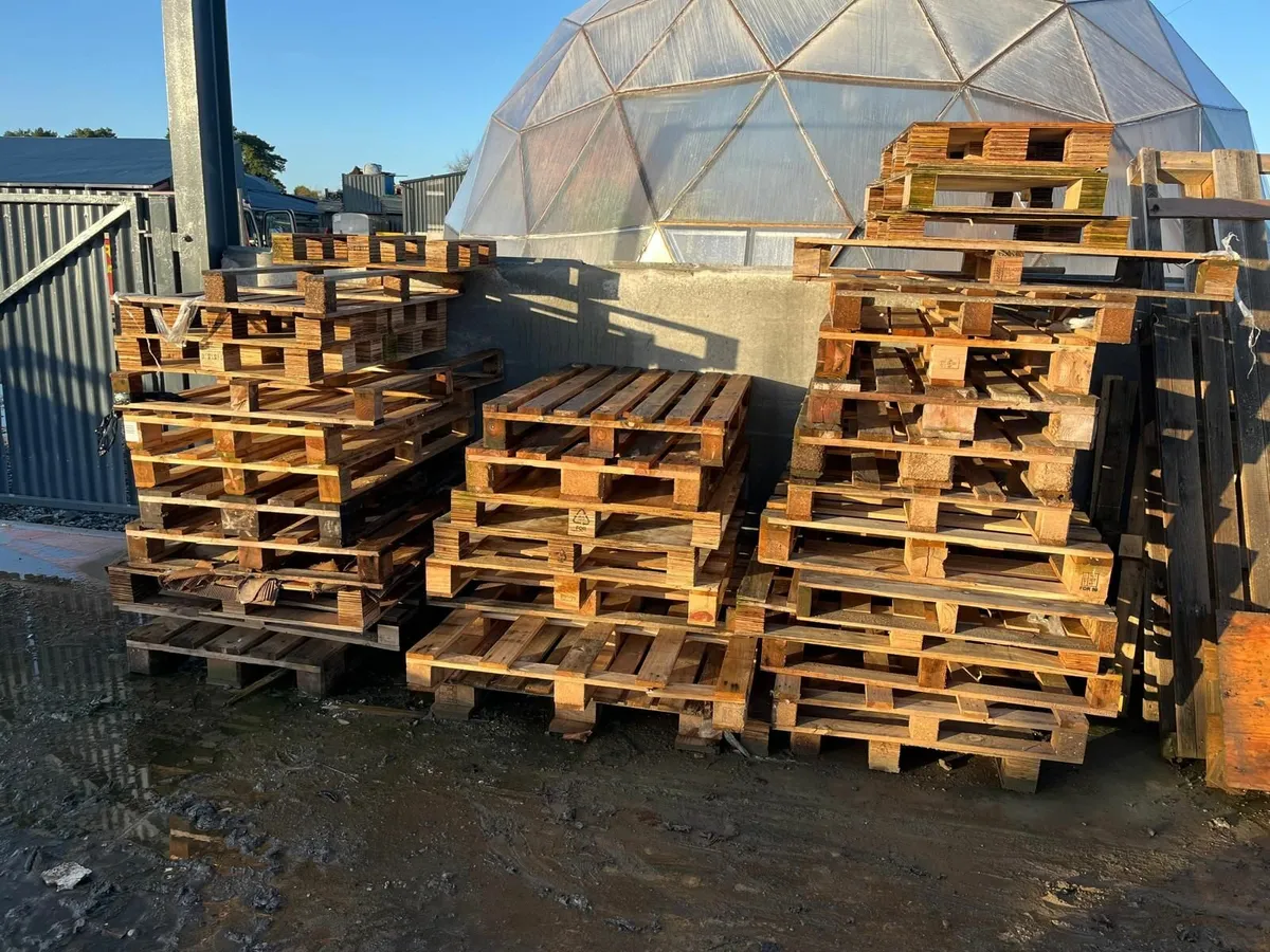Free pallets - Image 3