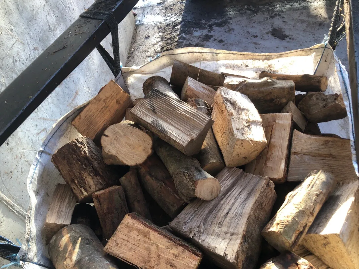 Firewood hardwood - Image 2