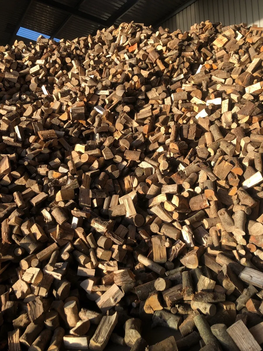 Firewood hardwood - Image 4