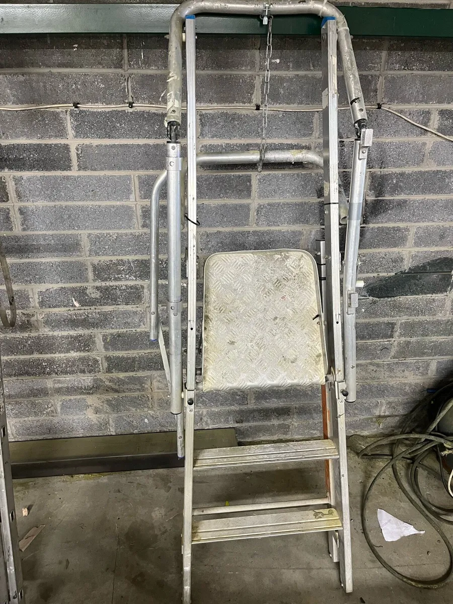 Platform ladder