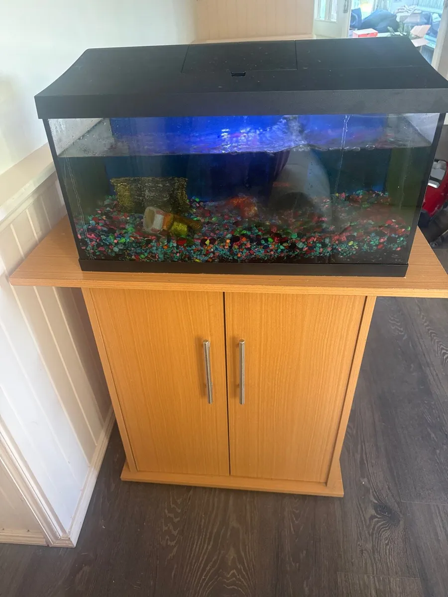 Fish tank and stand