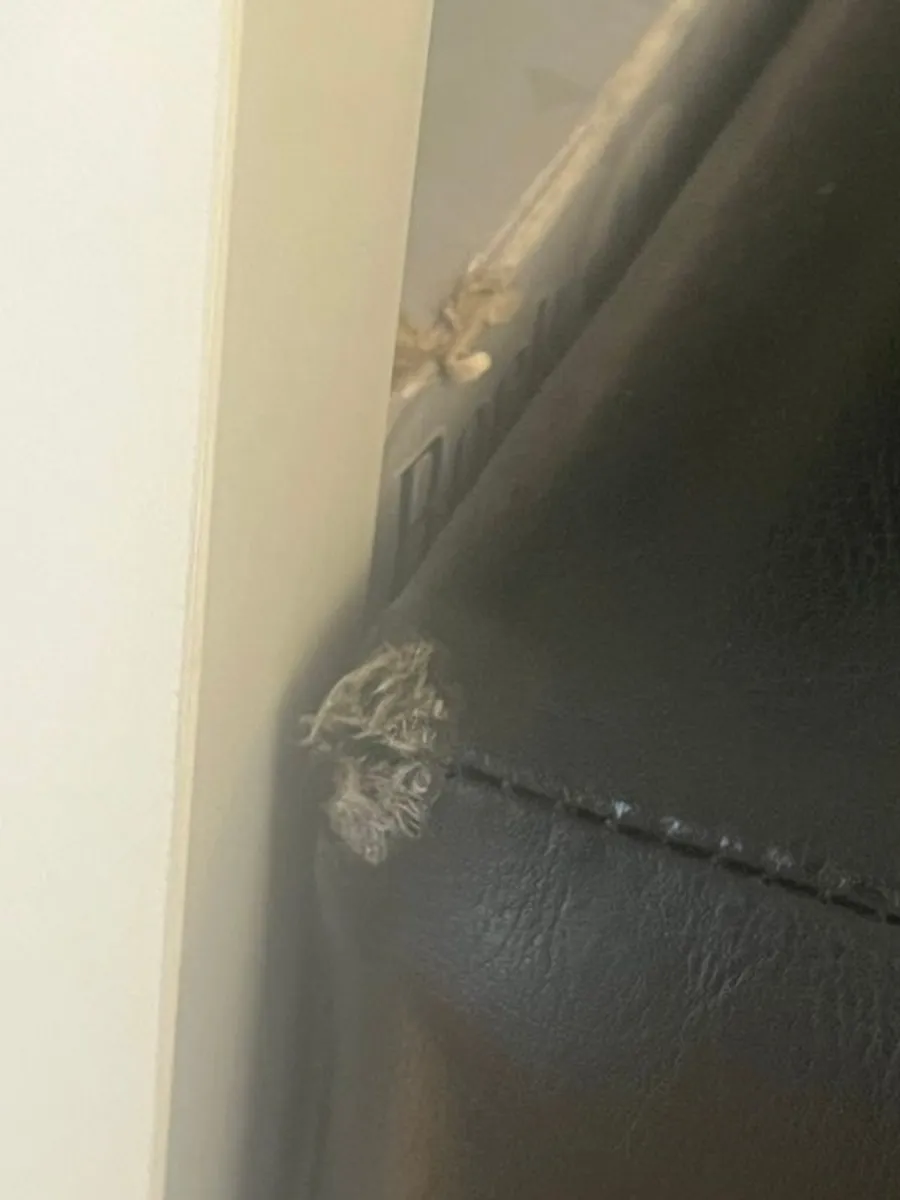 L shaped Sofa - Image 4