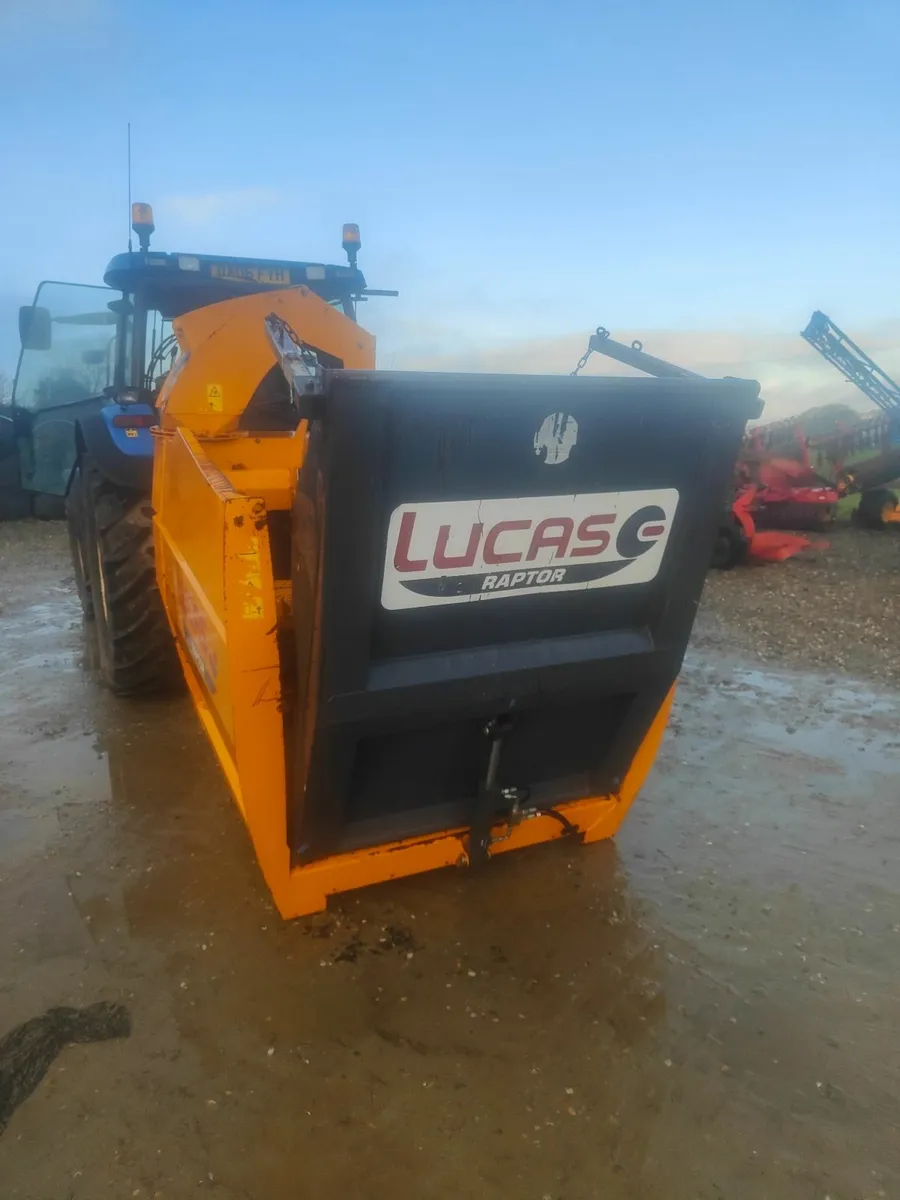 Lucas raptor - Image 2