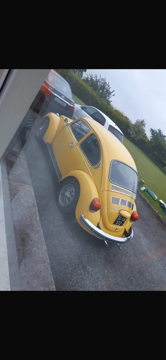 Volkswagen Beetle - Image 2