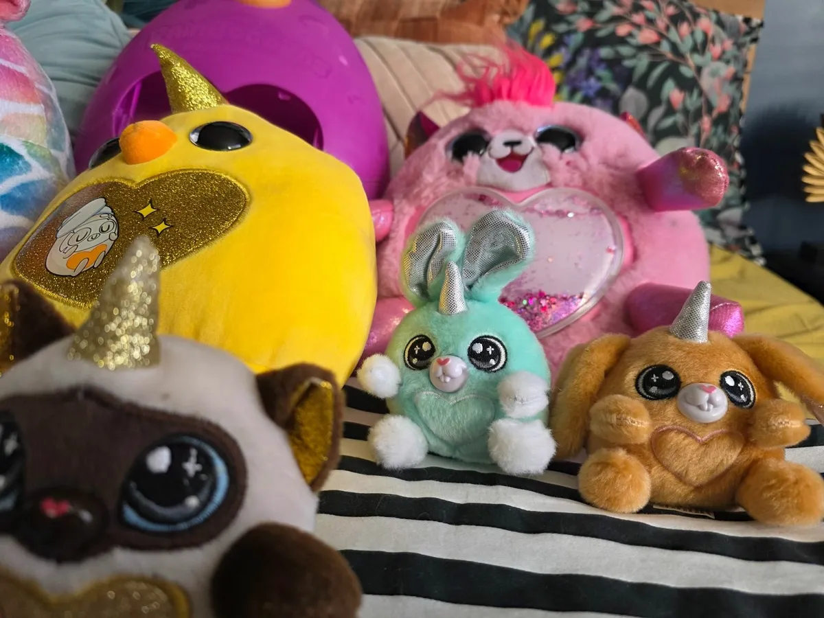 Rainbocorns bundle - Image 1