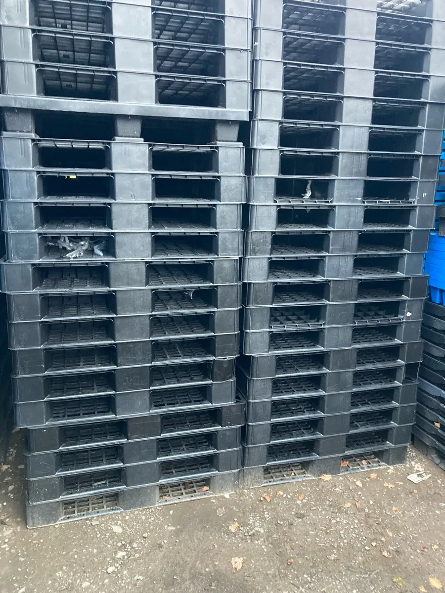 Plastic pallets - Image 2