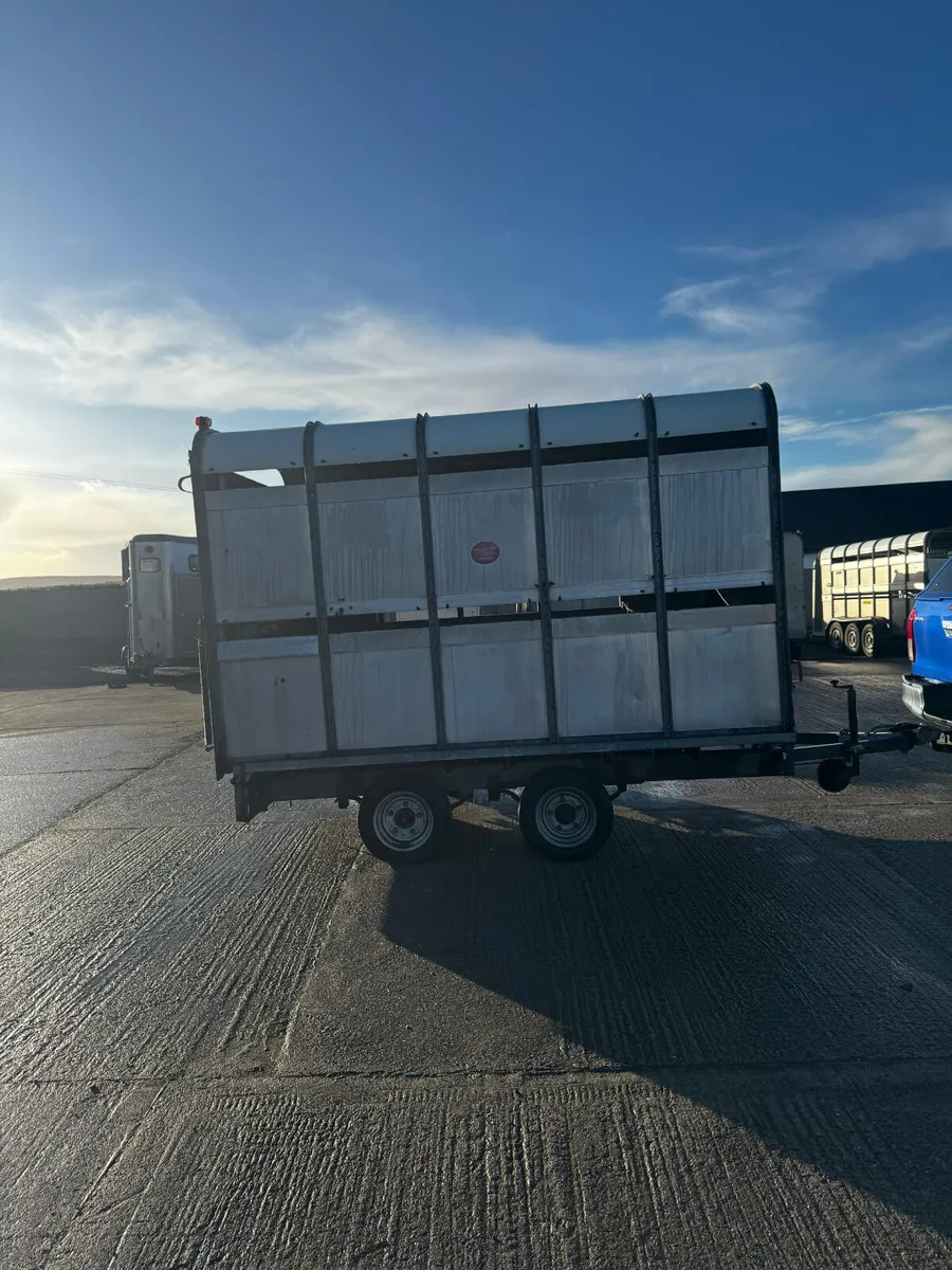 10x6ft 6 Ifor Williams livestock trailer - Image 1