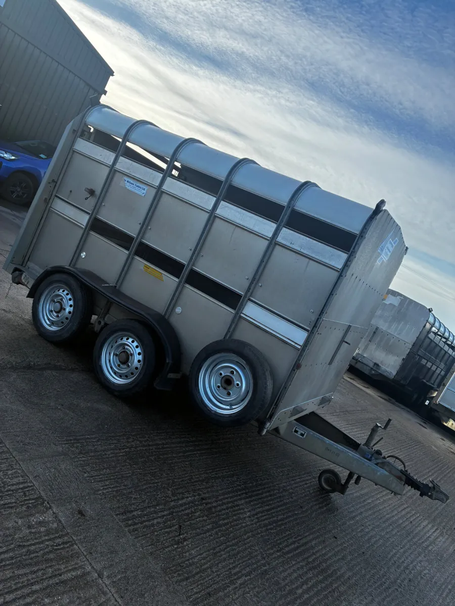 10ft ifor Williams with decks - Image 2