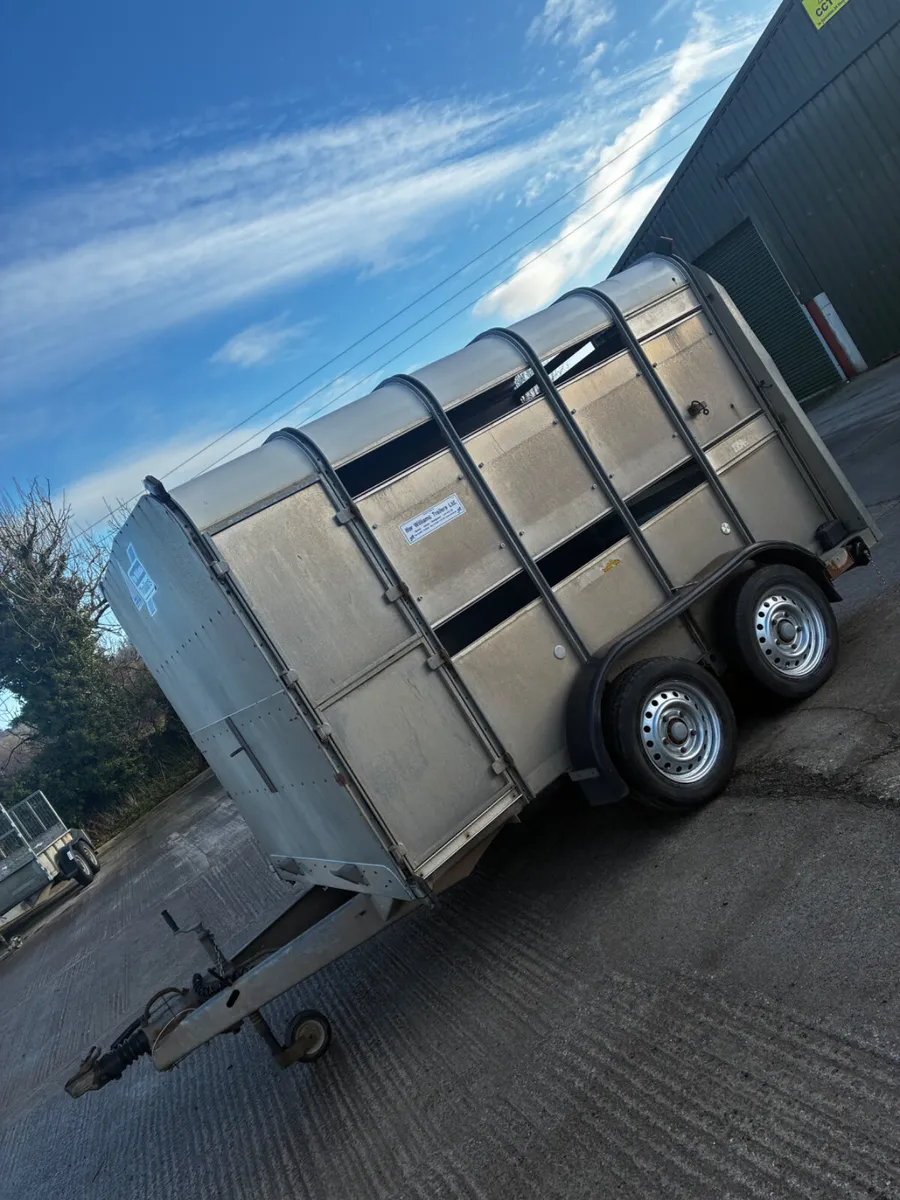 10ft ifor Williams with decks - Image 4