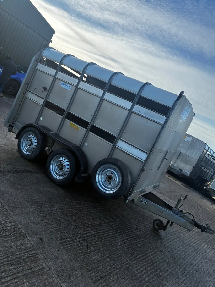 10ft ifor Williams with decks - Image 1