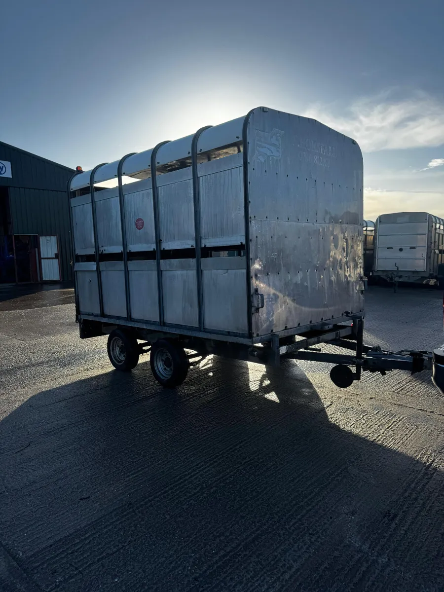10x6ft 6 Ifor Williams livestock trailer - Image 3