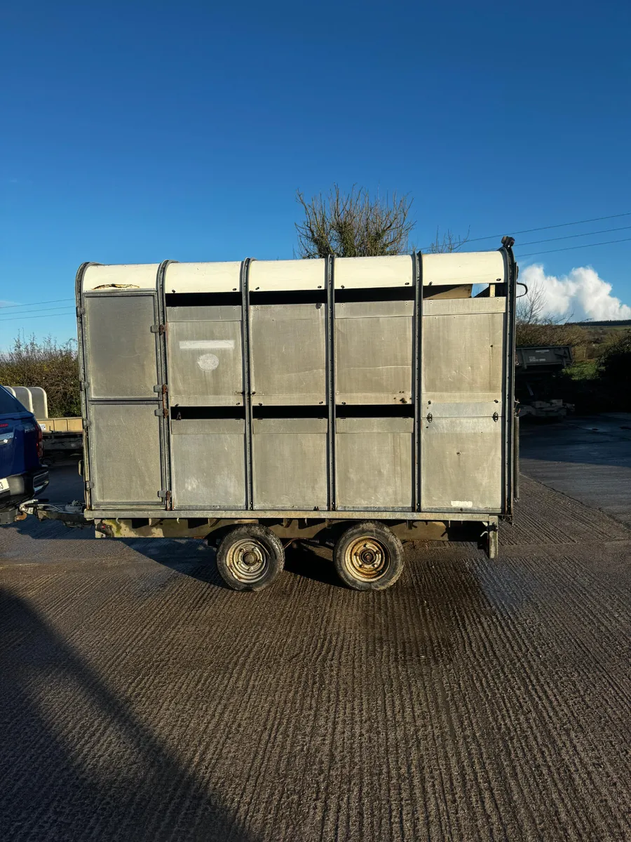 10x6ft 6 Ifor Williams livestock trailer - Image 2