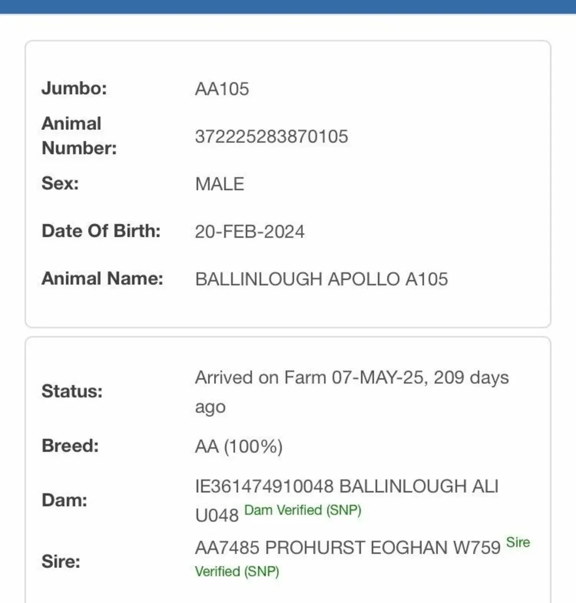 ORGANIC BULLS - Image 1