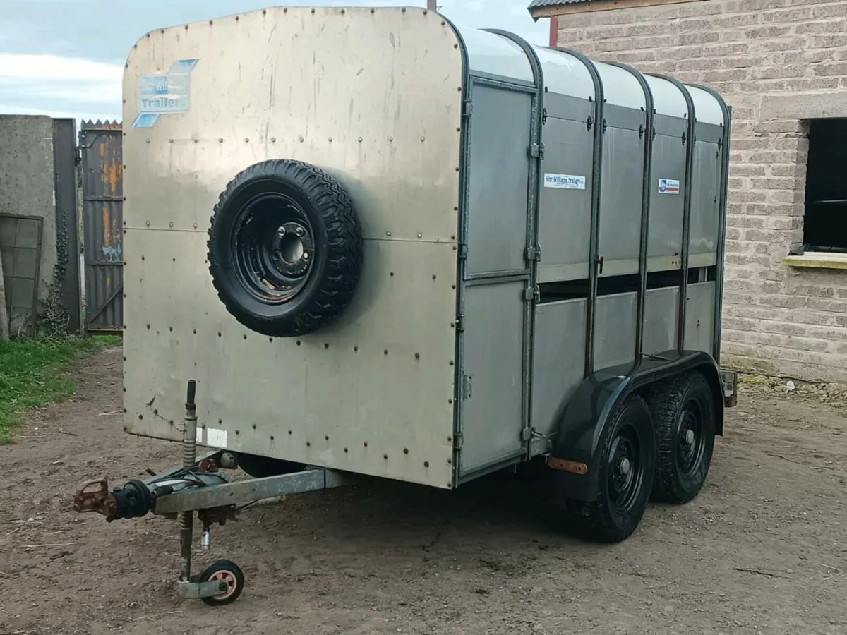 Ifor Williams livestock trailer. - Image 1