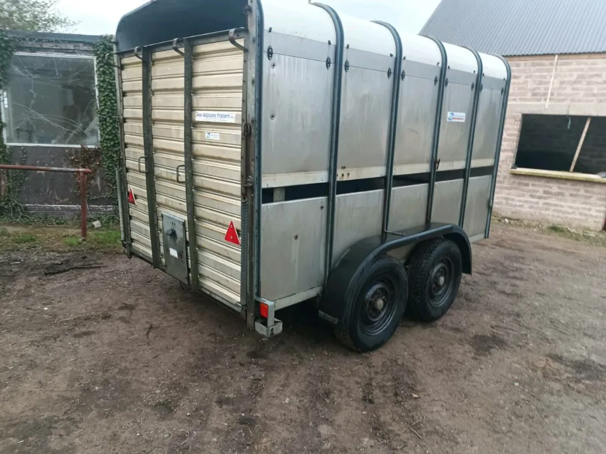 Ifor Williams livestock trailer. - Image 2