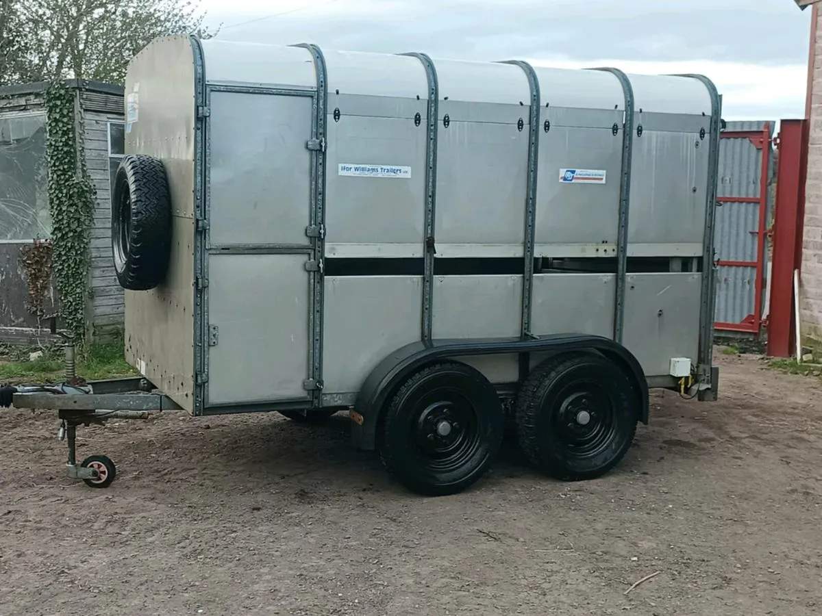 Ifor Williams livestock trailer. - Image 3