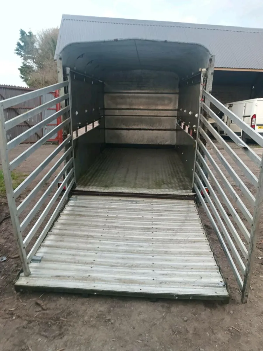 Ifor Williams livestock trailer. - Image 4