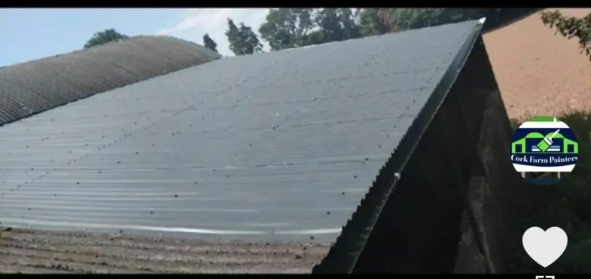 Munster Farm Shed Repairs - Image 3